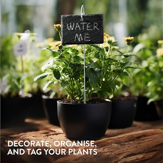 Navaris Slate Plant Labels (15 Pieces) - Garden Marker Label Signs with Stakes - Markers for Plants, Vegetables, Herb Gardens - with Chalk Pencils - Rectangular