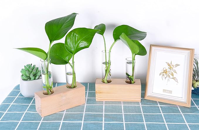 Propagation Station, Plants Terrarium, Plants Lover Gifts for Women,Plant Cutting Holder Home décor,Gifts for Women,House Warming New Home-4 Tubes-Beige