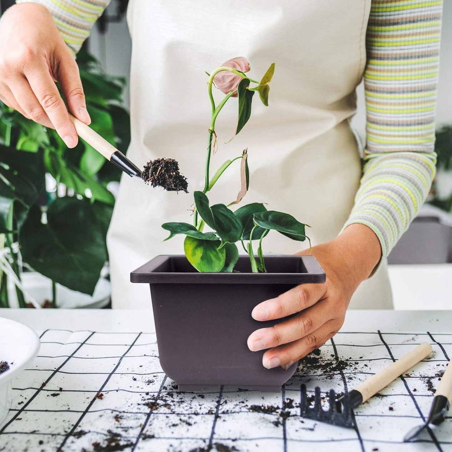 KINJOEK 15 PCS 6.7 Inch Bonsai Training Pots, Square Plastic Plant Pot, Flower Succulent Pots for Garden, Indoor, Home Decorative