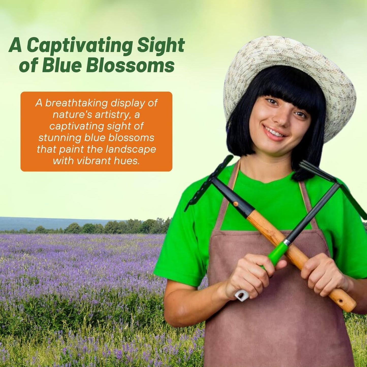 Outsidepride Blue Sage Seeds - 1/2 Lb. Perennial, Drought-Tolerant & Deer-Resistant Wildflower Seeds w/Fragrant Blooms for Pollinator Attractant for Butterfly & Hummingbird Gardens & Landscaping