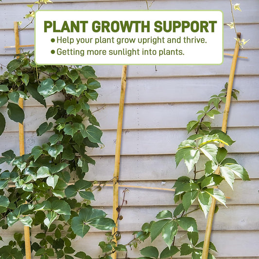 Avalution 10 Pack Bamboo Trellis for Climbing Plants, 4 FT Garden Ladder Trellis for Potted Plants Indoor, Fan-Shaped Small Plant Support Trellis for Houseplants Ivy Hoya Vine Monstera