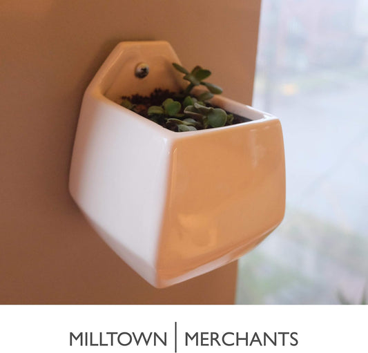 Milltown Merchants Succulent Wall Planter - Black Ceramic Planter - Succulent Plant Pot - Hanging Vase for Living Wall (1 Pack/Contemporary/White)