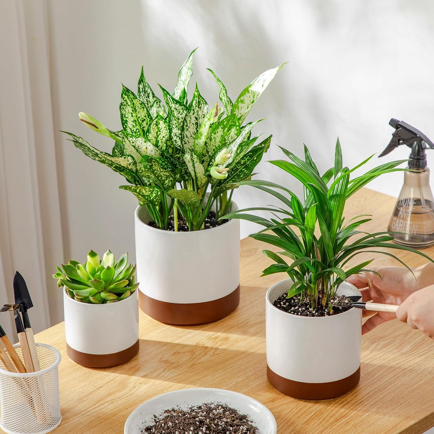 vancasso Ceramic Plant Pots, 4.25+5.25+6.25 Inch Planter Pot with Drainage Hole, Flower Pots for Indoor Outdoor Plants, Set of 3, Khaki