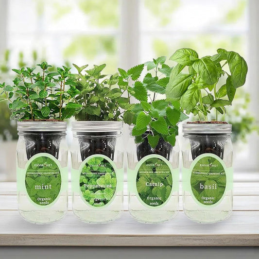 Hydroponic Herb Growing Kit Set, Self-Watering Mason Jar Herb Garden Starter Kit Indoor, Grow 4 Kinds of Herbs from Seeds (Catnip,Peppermint,Mint&Basil)