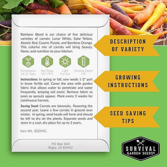 Fall & Winter Vegetable Seed Collection – 8 Packs of Non-GMO Heirloom Seeds for Planting Vegetables | Autumn & Indoor Gardening Seed Pack – Survival Garden Seeds