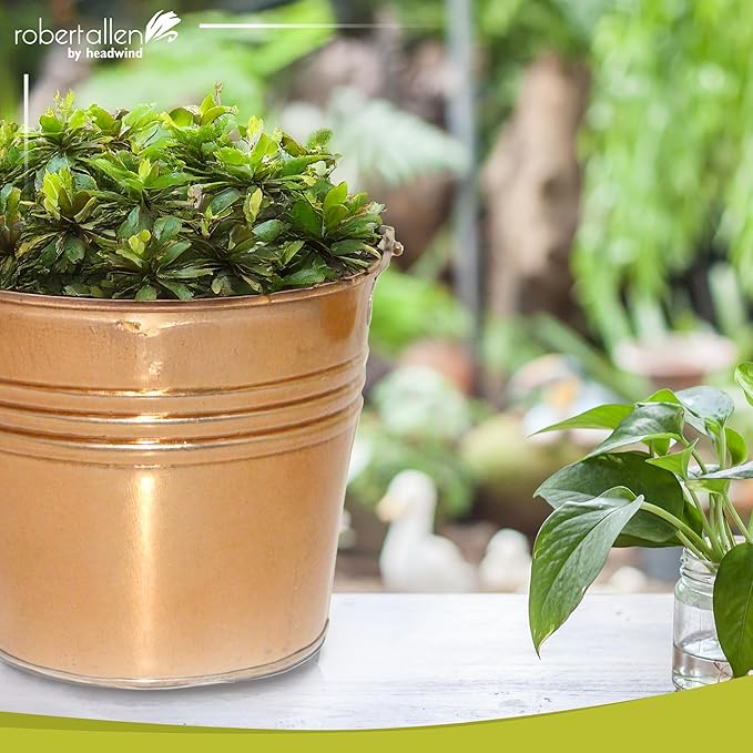 Headwind Vintage Collection - 6 Inch New Penny Banded Planter with Handles – Galvanized Bucket Planter - Decorative Small Planters for Indoor Plants & Outdoor Use by Robert Allen