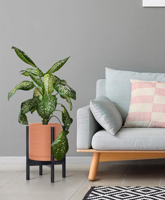 D'vine Dev Terracotta Planter with Ebony Stand - 10 Inch Modern Round Flower Pot with Wood Planter Holder, Terracotta, 55-B-L-5