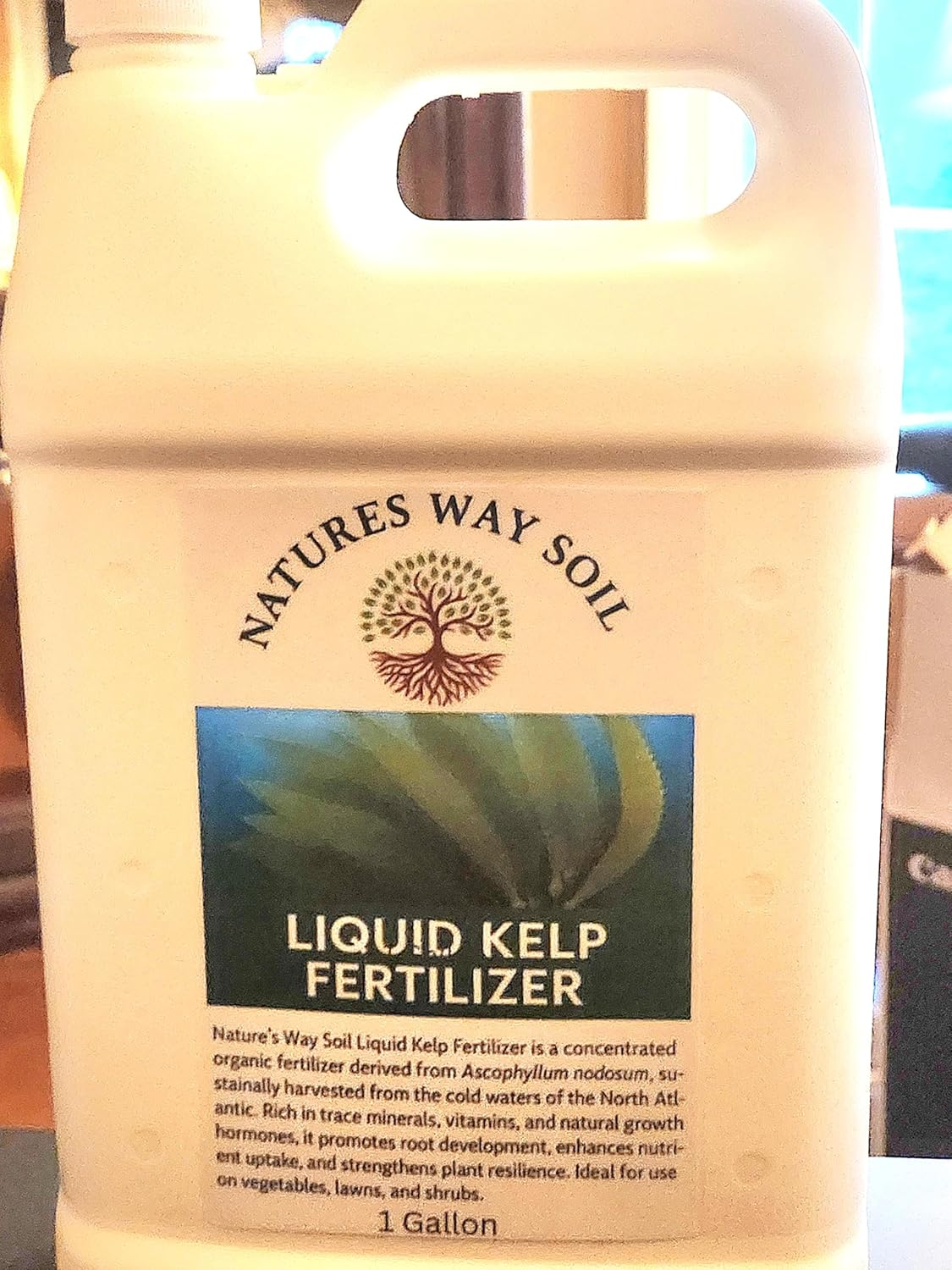 Nature’s Way Soil® Liquid Kelp Fertilizer –2.5 Gallon/Organic Seaweed Plant Food for Lawn, Garden, Flowers & Vegetables/Concentrate | Cold-Processed | Natural Growth Booster & Soil Revitalizer