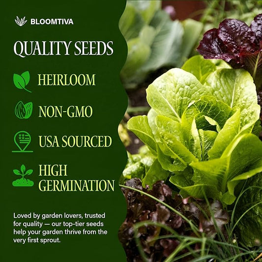 Lettuce Seeds – Gourmet Mixed Greens Blend for Planting | 2300 Bulk Non-GMO USA Heirloom Seeds – Crisp, Fresh & Fast-Growing Garden Variety (Lactuca Sativa)