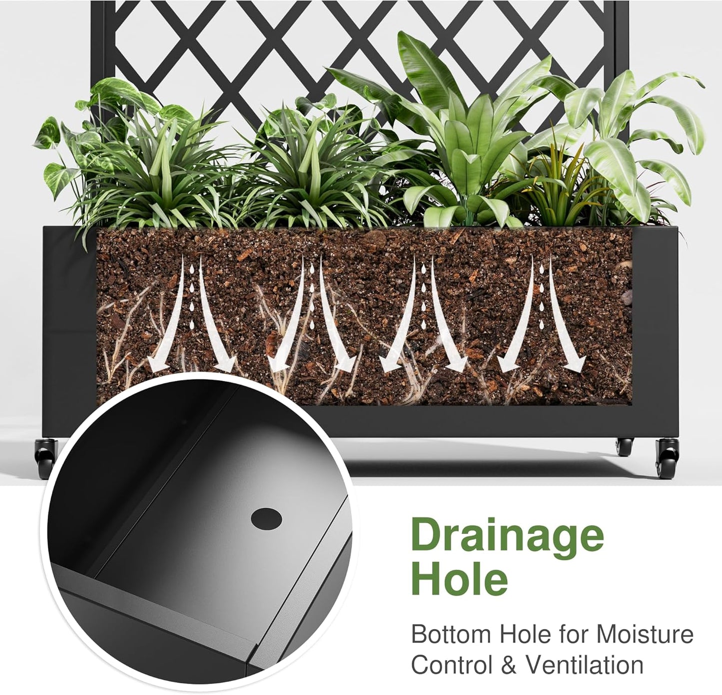 Casaphoria Metal Raised Garden Bed with Trellis and Wheels, 72"x35"x16" Planter Box for Climbing Plants, Vegetables & Vines, Features Drainage Holes and Privacy Screen (Black-Laurence)