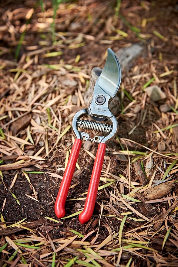 Corona ClassicCUT Forged Bypass Hand Pruner, Red, 3/4"