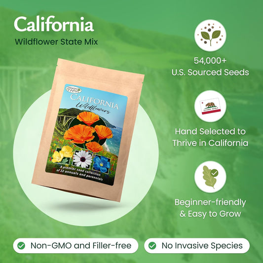 Created By Nature California Wildflower Seed Mix with Poppies, 22 Flower Varieties, 54,000+ Seeds