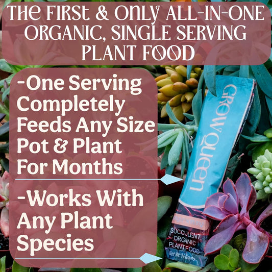 Complete Organic Cactus & Succulent Fertilizer, Succulent Plant Food & Cactus Food, Bonsai, Snake Plant Fertilizer, 7 Servings Fast & Slow Release Feeds up to 28 Plants 8 Months