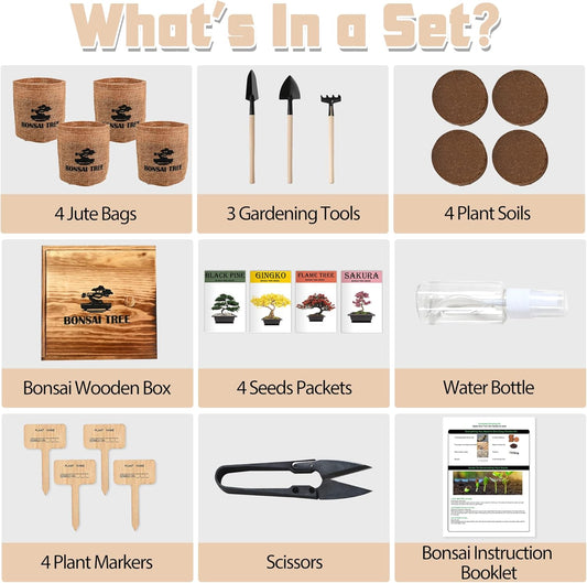 Bonsai Garden Starter Kit, 4 Seeds Growing into Sakura, Ginkgo, Black Pine, Red Flame, Including Complete Gardening Tools & A Wooden Box with Cover, Christmas Gifts for Men Women Beginners