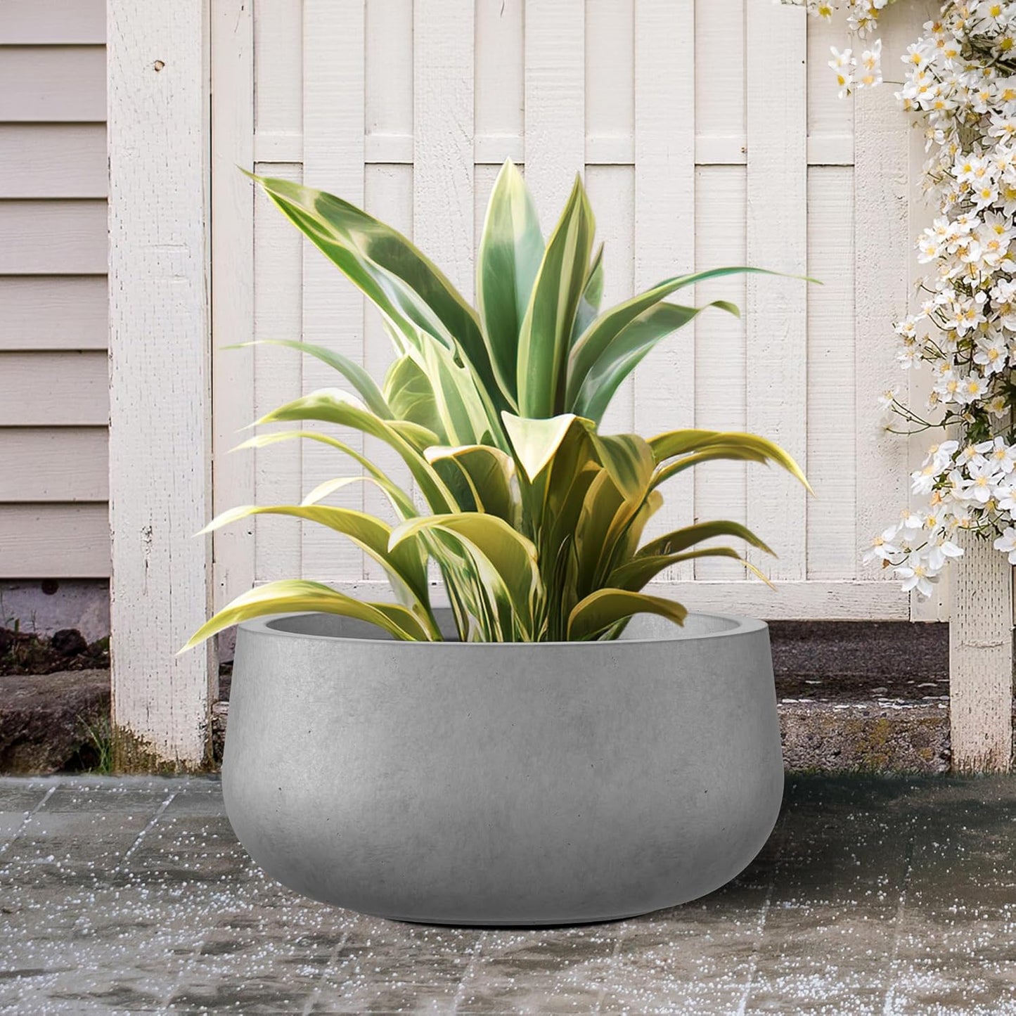 Kante 15.7" Dia Round Concrete Planter, Outdoor Indoor Garden Plant Pots with Drainage Hole and Rubber Plug, Modern Curvaceous Design, Natural Concrete