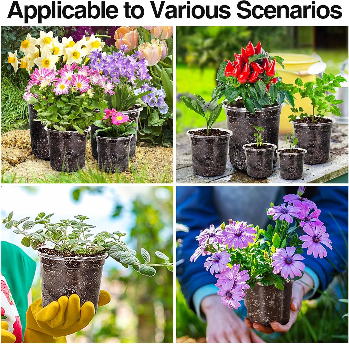 Bonviee 30 Packs 6.7/5/4 Inch Clear Nursery Pots for Plants, Plastic Seedling Pots with Drainage Holes, Planters for Indoor Plants and Transparent Seed Starter Pots with 10 Plant Labels