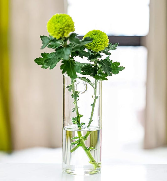 Kingbuy Glass Tube Wall Planter Propagation Station - 2 Pack Terrarium Cylinder Wall Vase with Plant Holder Hydroponic Planter for Home Kitchen Office Decor, Perfect Plant Lover Gifts (Short Cylinder)