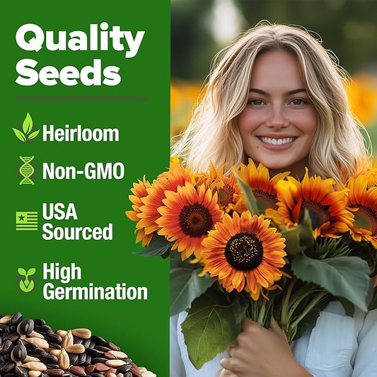 HOME GROWN 𝗨𝗦𝗔 𝗣𝗥𝗘𝗠𝗜𝗨𝗠 Autumn Beauty Sunflower Seeds to Plant 40 Heirloom Non-GMO Sunflower Seeds for Planting Blooms for Pollinator Support, and Ornamental Flower Garden (Helianthus annuus)