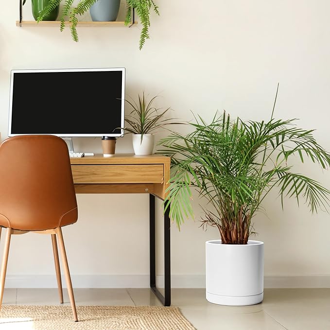 D'vine Dev Set of 2 Plants Pots, 10 Inch Ceramic Planter Pot for Plants with Drainage Hole and Saucer, White, 94-V-E-1