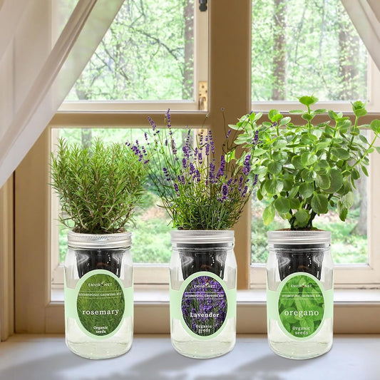 Hydroponic Herb Growing Kit Set, Self-Watering Mason Jar Herb Garden Starter Kit Indoor, Windowsill Herbs Garden, Grow Your Own Herbs from Organic Seeds (Rosemary, Lavender, Oregano)