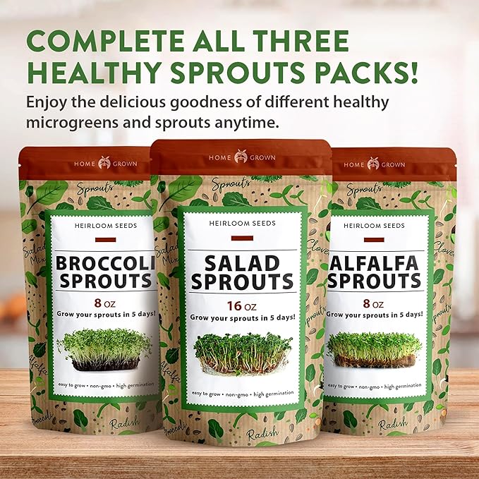 HOME GROWN π¨π¦π π£π₯ππ ππ¨π Alfalfa Sprout Seeds 16oz Bulk Pack with Thousands of Seeds π‘π’π‘-ππ π’ Alfalfa for Sprouting & Microgreens Indoor Outdoor Growing Resealable Bag High Germination