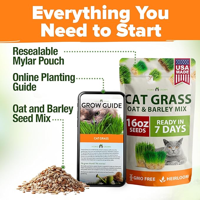 HOME GROWN đ¨đŚđ đŁđĽđđ đđ¨đ 1 Pound Cat Grass Seeds for Cat & Kittens Oat & Barley Mix 100% đĄđ˘đĄ-đđ đ˘ Heirloom, Grow Fresh Kitty Grass for Chewing, Pet Grass for Cats Indoor Garden