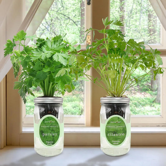 2-Pack Hydroponic Mason Jar Herb Garden Kit, Indoor Herb Garden Self-Watering Starter Kit (Parsley,Cilantro)