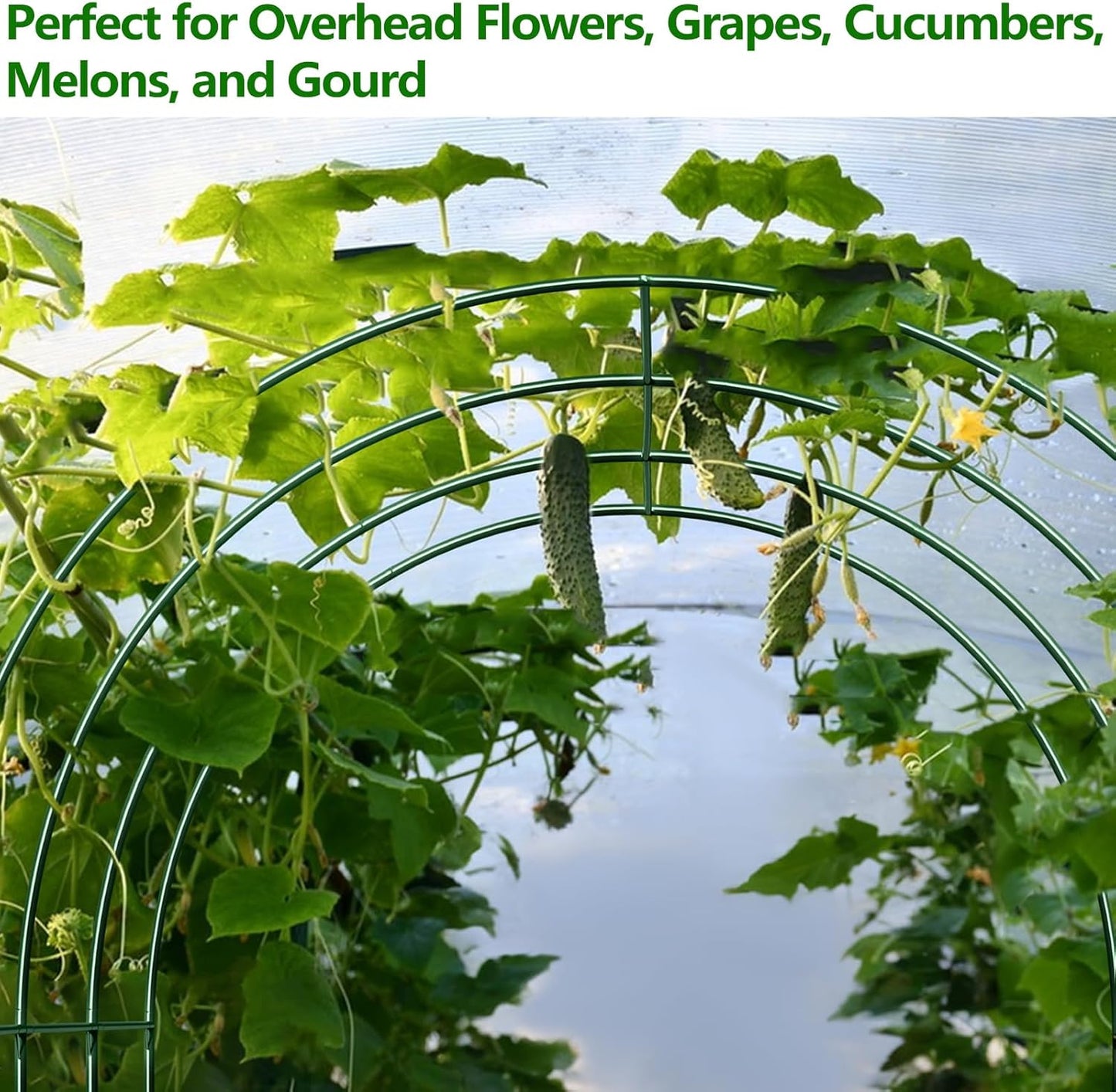 Large Garden Support Arch Frame for Climbing Plants, 9.85 x 7.05 x 7.22 ft Heavy Duty Plant Climbing Arbor Arch, Multi-Purpose Support Frame for Vines, Weddings & Backyard Decoration