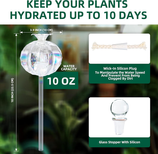 10 oz Large Top Fill Cactus Plant Self Watering Globes, Light Iridescent Glass Water Bulbs, Slow Release Watering Devices System Indoor | Outdoor Everyday Use, Water Spikes Stakes, 2 Pack