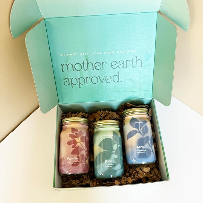 Modern Sprout Garden Jar Gift Pack - Self-Watering Hydroponics Growing System Kit with Organic Herb Seeds - Seed Starter Kit for Indoor Herb Garden - Home Decor & Gifting - Basil, Parsley & Mint