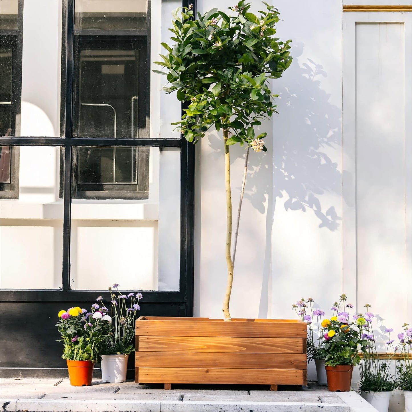 Wooden Raised Garden Bed Planter Box – Fir Wood Outdoor Vegetable, Herb & Flower Box with Drainage Holes – 31.5"x15.75"x12.6", Rot-Resistant, for Patio, Yard, Balcony