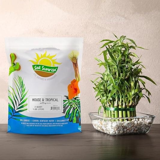Soil Sunrise Tropical House Plant Potting Mix (2 Quarts) for All Types of Indoor House Plants