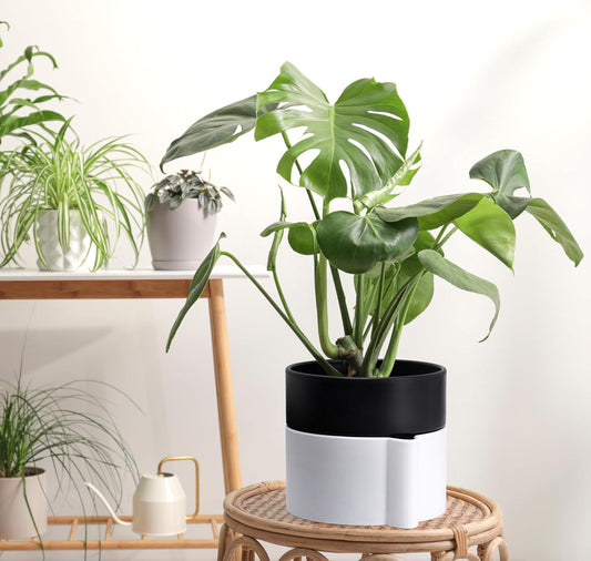 8 Inch Self-Watering Planter Pot with Terracotta Insert, Deep Water Reservoir, and Ceramic-Alike BPA-Free Plastic Planter Pot for Plant, Modern Planter for Houseplants, White/Black, 53-B-T-4