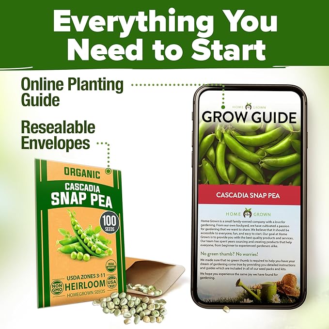 HOME GROWN - Snap Pea Seeds for Planting - Organic, Heirloom Cascadia Variety - 100 Non-GMO Vegetable Seeds - Cool Season Crop for Containers - Sweet Flavor, Fast Germination (Pisum sativum)