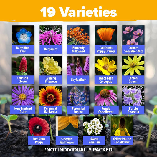 HOME GROWN Premium Wildflower Seeds Bulk Mix (2oz) - 59,300+ Seeds with 19 Varieties for Pollinators - Wild Flower Seed for Bees, Butterflies - Perennial & Annual Throw and Grow Seed Mix
