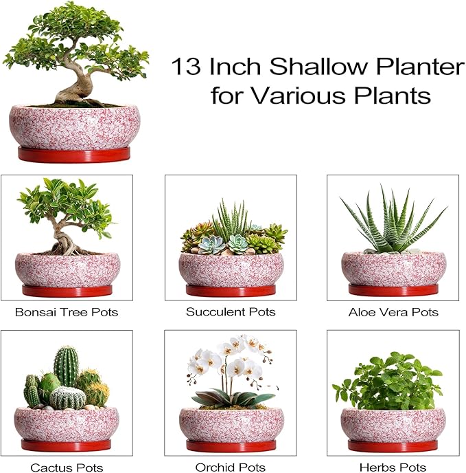 Bonsai Tree Pots 13 Inch - Ceramic Bonsai Pots with Drainage Hole and Tray, Large Succulent Planters Indoor, Round Bowl Planter Outdoor, Shallow Planter, Garden Decor, Plant Lover Gifts, Red