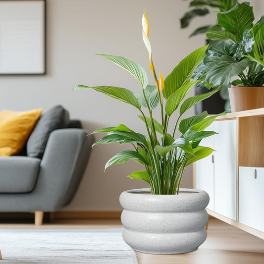 SQOWL Ceramic Planter Pot 13.5 Inch - Plant Pot Indoor with Drainage Hole Large Flower Pot Outdoor Modern Planter House Plant Pot for Office Front Door Porch Decor White