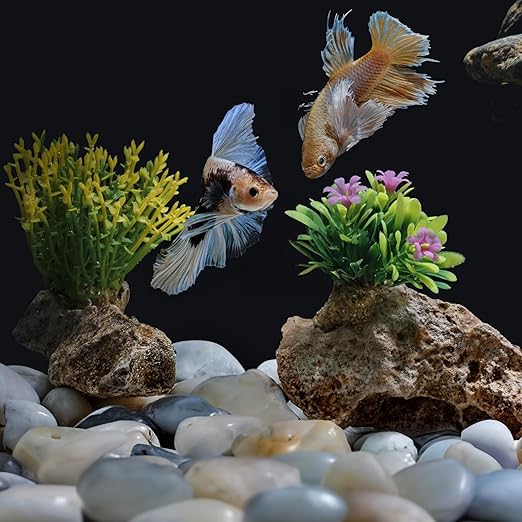 10lbs Pebbles for Plants, 1-2Inch Natural White River Rocks for Aquarium, High Polished Decorative Stones for Vase Filler Fish Tank Landscaping Garden