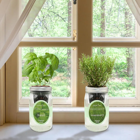 2-Pack Hydroponic Mason Jar Herb Garden Kit, Indoor Herb Garden Self-Watering Starter Kit (Basil,Rosemary)