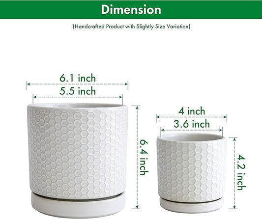 D'vine Dev Set of 2 Modern Matte White Honeycomb Embossed Ceramic Planter Pots with Saucer and Drainage Hole, 4 Inch & 6 Inch, 99-C-1-N