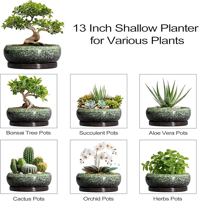 Bonsai Pots - 13 Inch Ceramic Succulent Planters Indoor, Round Shallow Planter with Drainage Hole and Saucer, Large Succulent Pot, Bowl Planter Outdoor, House Decor, Housewarming Gift, Green