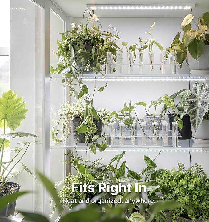 Plant Propagation Station, 24 Floral Tubes, Floral Arrangement Kit, Modern Acrylic Desktop Rack with Propagation Tubes for Hydroponics Rooting Cuttings, Bud Vase Holder, Plant Lover Gift