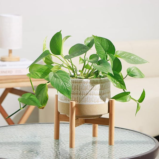 Kurrajong Farmhouse 7.25in Ceramic Planter with Bamboo Stand, Indoor Use, Caramel and White