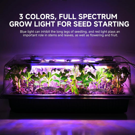 80 Cells Seed Starter Trays with Grow Lights, Color Change Grow Lights for Seed Starting Kit, 3 Timming Set, Plant Growing Kit for Gardeners,Germination Trays Kits