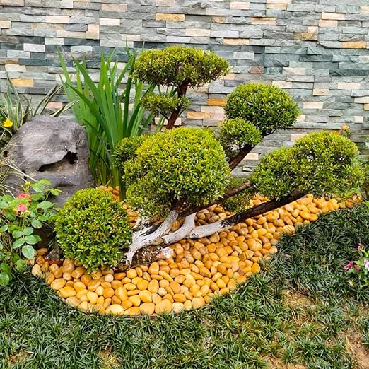 20lbs Yellow River Rocks for Landscaping, 2-3 Inch Natural Pebbles for Indoor Plants, High Polished Decorative Stones Vase Filler Fish Tank Aquariums Garden