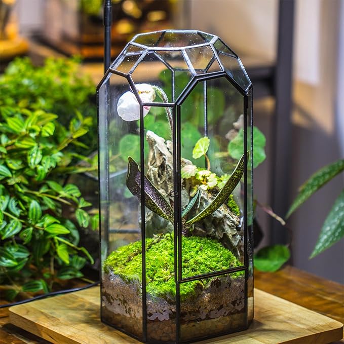 NCYP Glass Geometric Plant Terrarium with Door for Succulent Plants, Cacti - 5.5"x5.5"x12.8" - Indoor Vintage Tall Octagon Planter, Home Garden Office Tabletop Decoration (Terrarium Only)