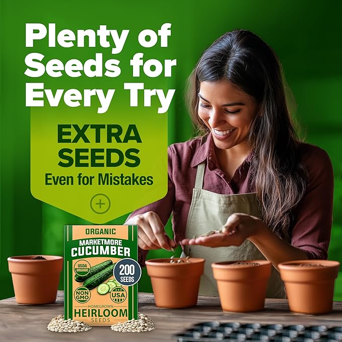 HOME GROWN 𝗨𝗦𝗔 𝗣𝗥𝗘𝗠𝗜𝗨𝗠 Organic Cucumber Seeds - 200 Marketmore Heirloom 𝗡𝗢𝗡-𝗚𝗠𝗢 Vegetable Seeds for Planting in Trellises, Raised Beds, Containers (Cucumis sativus)