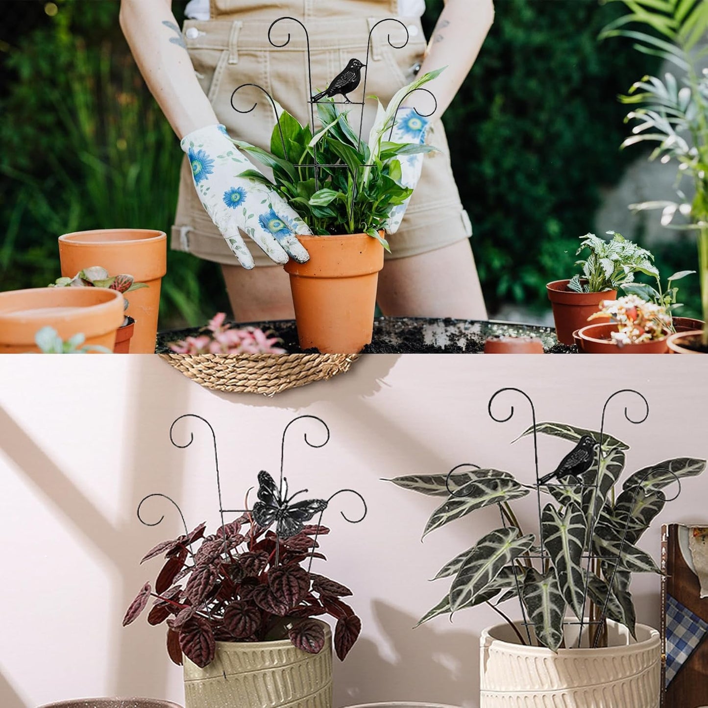 Indoor Plant Trellis for Climbing Plants Indoor Trellis Indoor Metal Trellis 4 Pack for Garden Plants Support Small House Plant Trellis for Vines, Flower