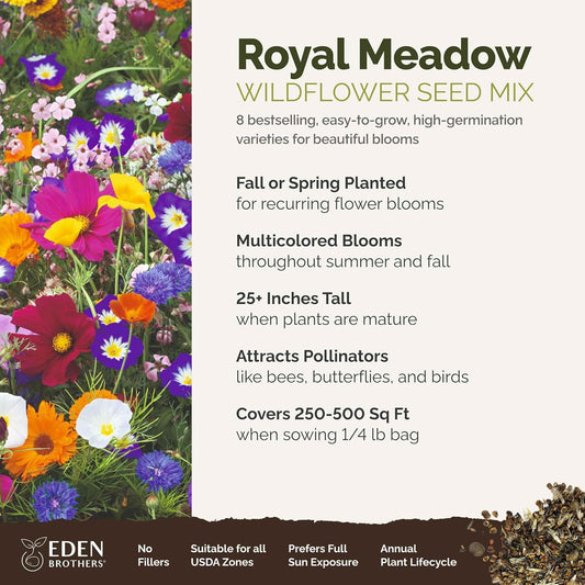 Eden Brothers Royal Meadow Flower Mixed Seeds for Planting, 1/4 lb, 120,000+ Seeds with Morning Glory, African Daisy | Attracts Pollinators, Plant in Spring or Fall, Zones 3, 4, 5, 6, 7, 8, 9, 10