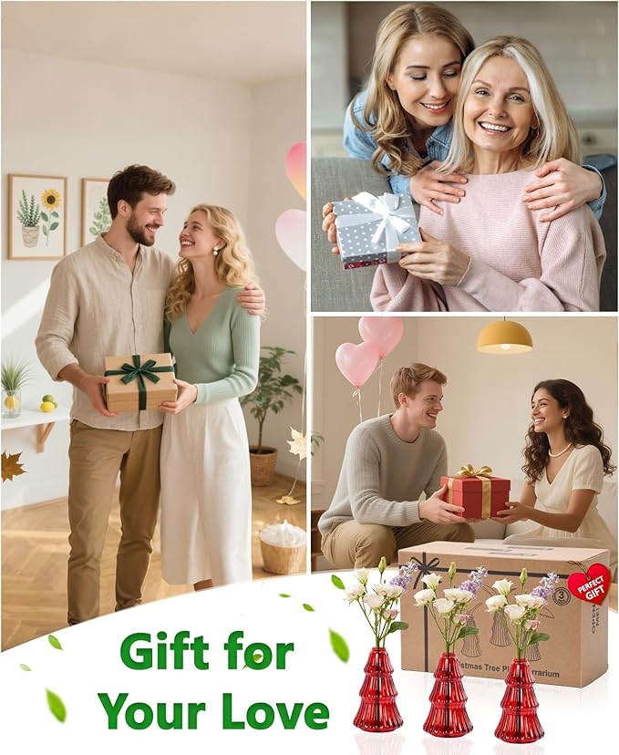 Nacome Christmas Tree Propagation Stations: 3PCS Plant Terrarium Glass Vases for Home Office Decor, for Plant Lovers Women Mom (Red)